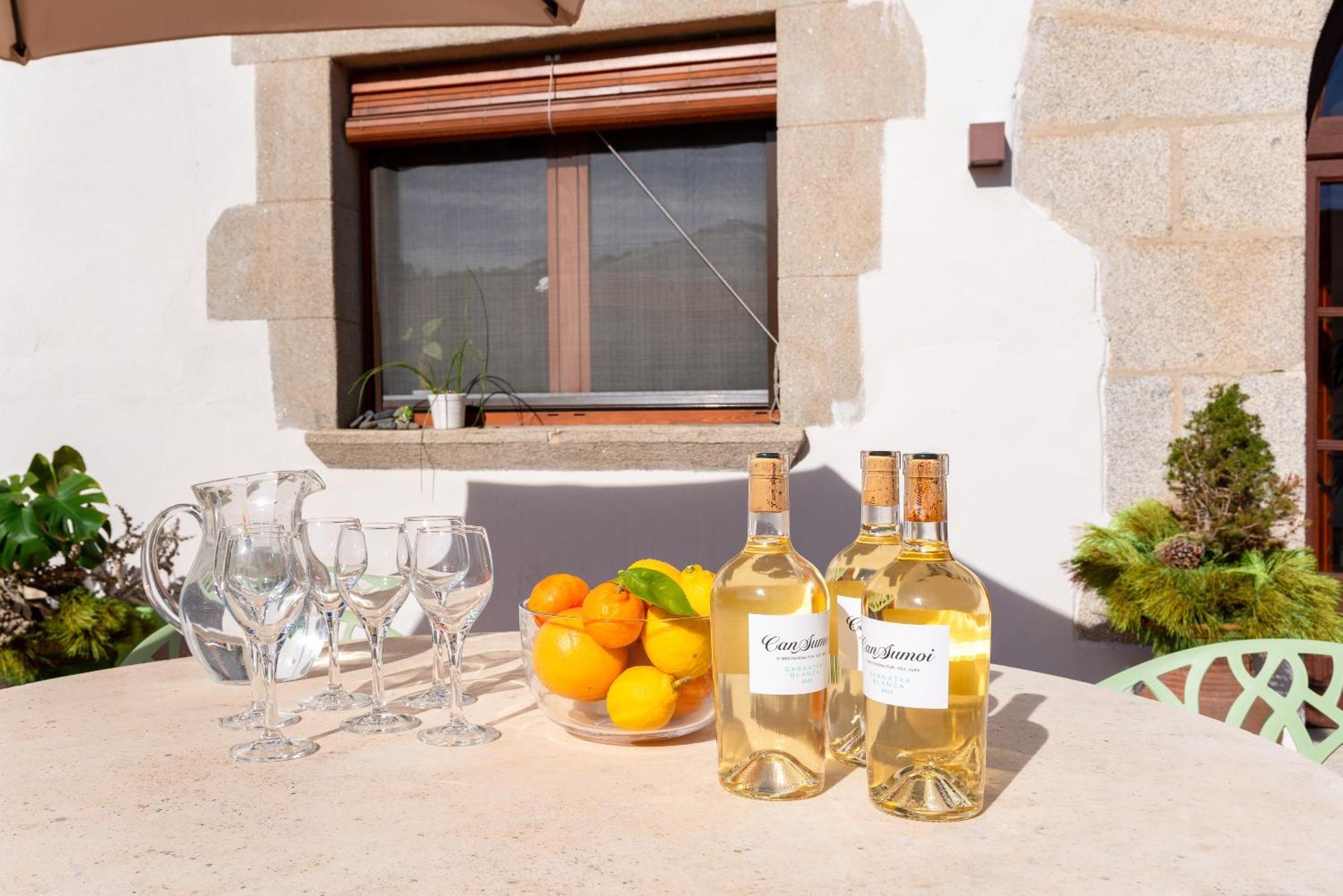 La Terraza - Grosszuegiges Appartment In Katalanischer Masia Sant Iscle De Vallalta Zewnętrze zdjęcie